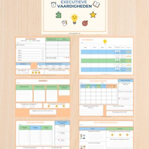 Werkboek Executieve Vaardigheden